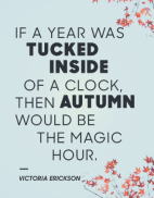 Screen Shot 2018-09-29 at 9.40.53 AM